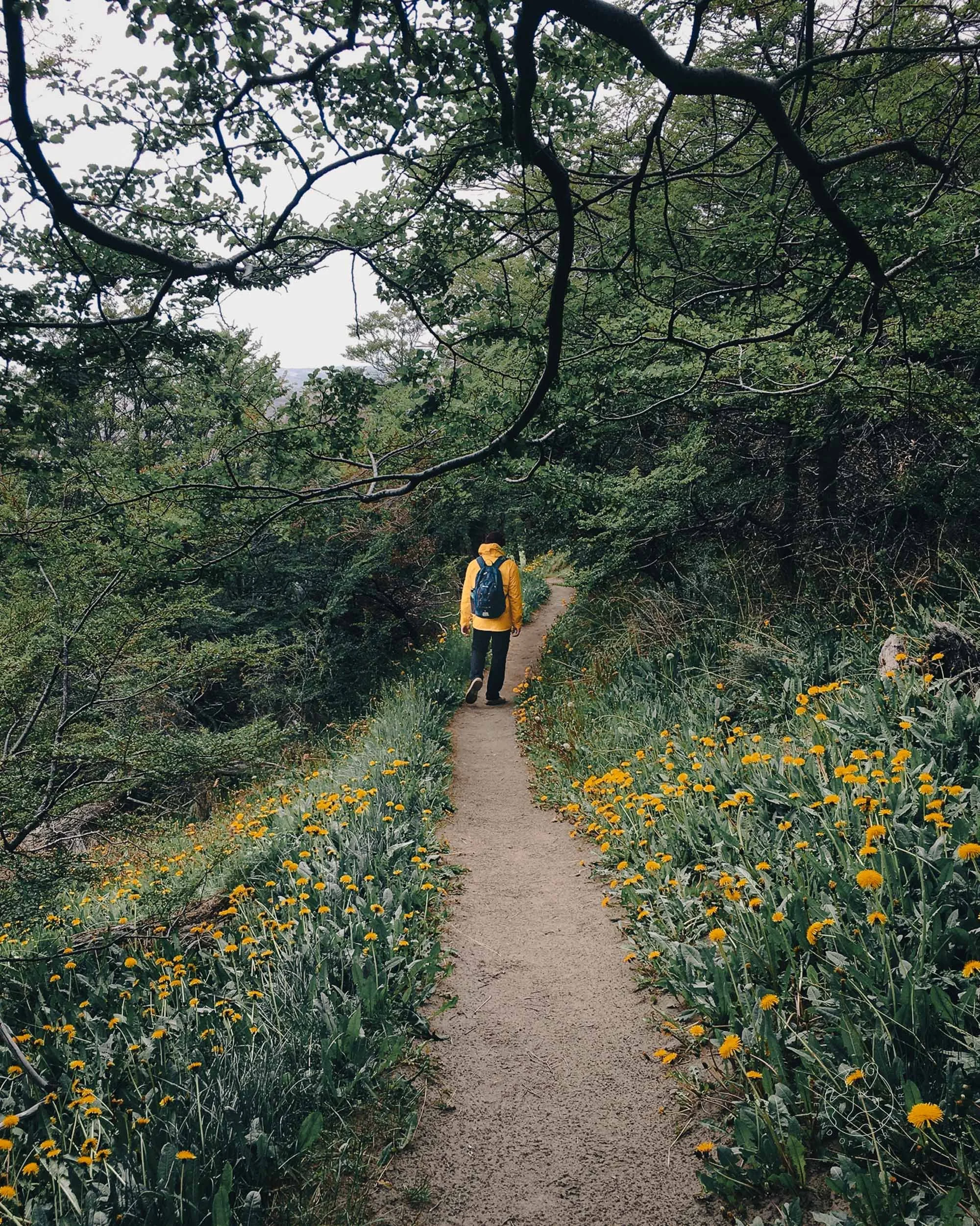 Person walking outdoors on a sunny trail